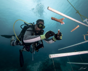 Coral Reef Restoration, Yap Micronesia