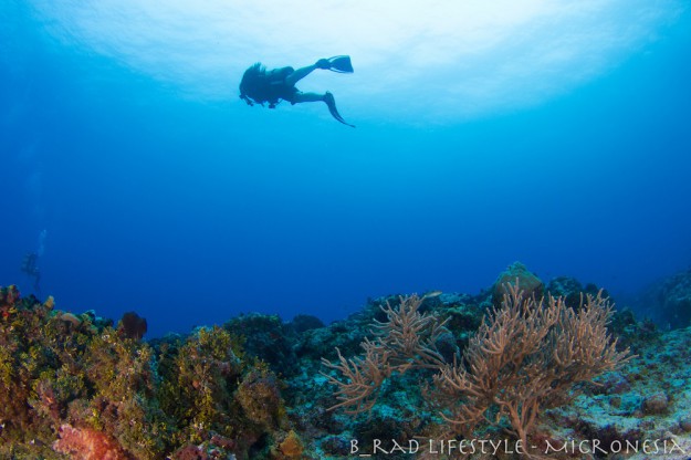 Outer Reef Drift - Diving "Land's End", photo by: Brad Holland