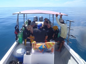 Yap Divers and Manta Ray Bay custom dive boats