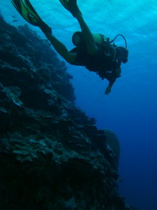 Gapow Reef, Yap Divers Micronesia