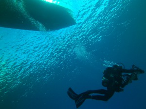 Clear water diving in Micronesia with Yap Divers