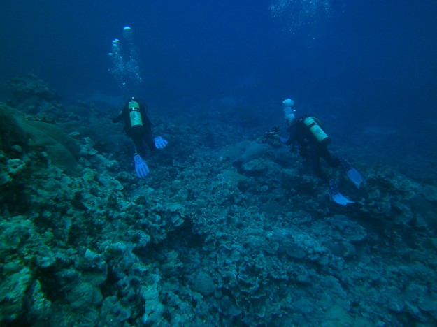 Gapow Reef Yap Micronesia