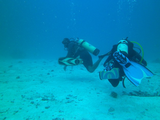 Pacific Ocean Diving Gapow Reef Yap Micronesia