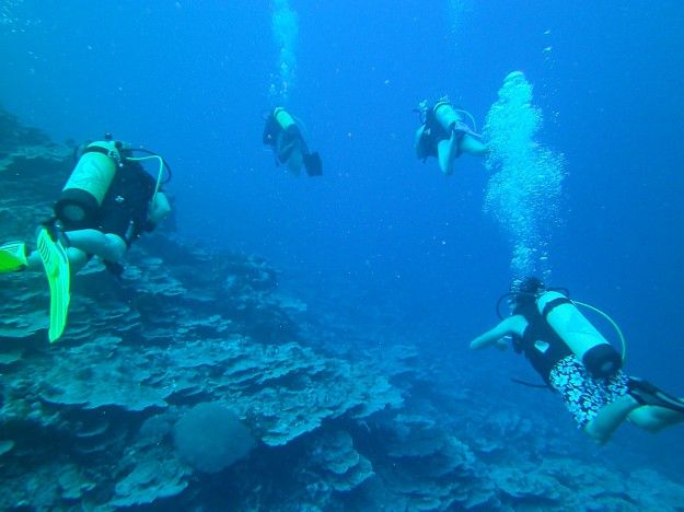 Yap Divers Group