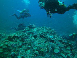 Yap Divers Underwater Gapow Reef, Micronesia