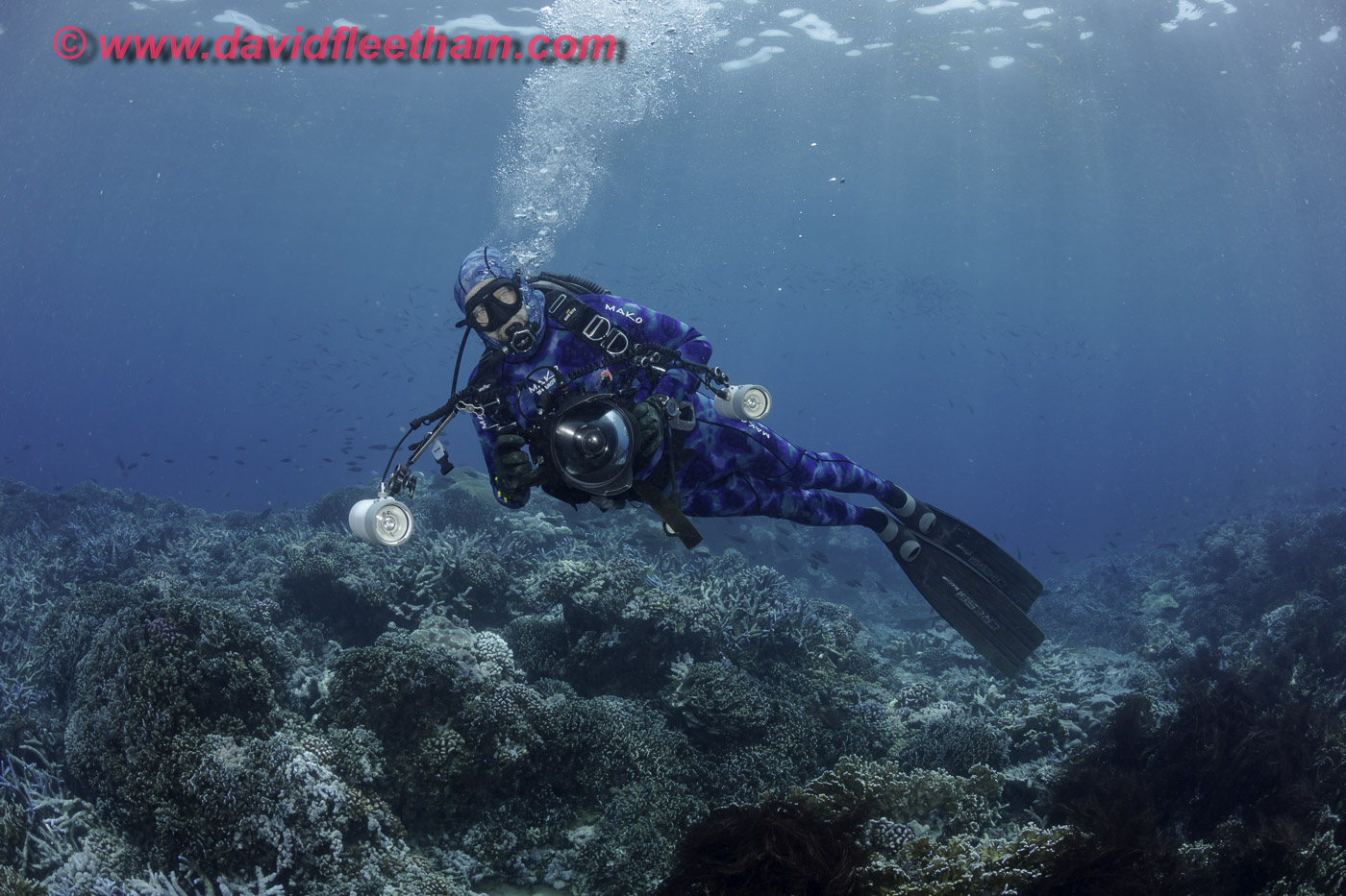Yap Diving UW photography by David Fleetham