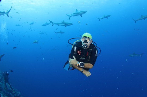 Bill Acker Diving Vertigo with Yap Sharks on a feed dive