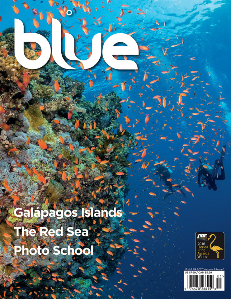 blue-mag-cover