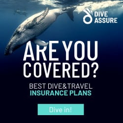 DiveAssure - Are you covered?